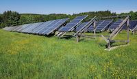 Solarpaneele, die ganze Wiesen und Weiden zupflastern – ist das wirklich Naturschutz und Umweltschutz?