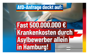 Bild: AfD Deutschland