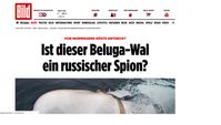 Bild: Screenshot Website „Bild-Zeitung“