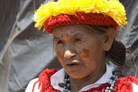 Große Teile des Landes der Guarani wurden gestohlen, um Platz für Viehzucht zu schaffen. Bild: F. Watson/Survival