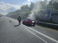 Bild: Feuerwehr