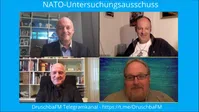 Bild: SS Video: "NATO-Untersuchungsausschuss: Beeinflussung der Öffentlichen Meinung durch Medien und NGO" (https://youtu.be/NR2_97JqqvM) / Eigenes Werk