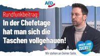 Bild: AfD Deutschland