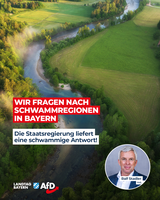 Bild: AfD Deutschland