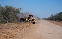 Ein Bulldozer planiert das Land der Ayoreo-Totobiegosode in Paraguay. Bild: Survival