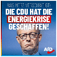 Bild: AfD Deutschland