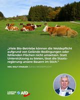 Bild: AfD Deutschland