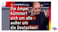 Bild: AfD Deutschland