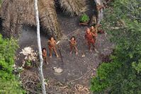 Die Bilder zeigen eine gesunde und aktive indigene Gemeinde mit Körben voll frisch geerntetem Maniok und Papaya. Bild: Gleison Miranda/FUNAI/Survival 