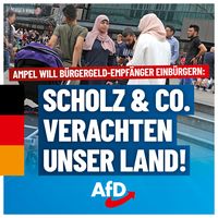Bild: AfD Deutschland