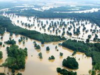 Hochwasser - hier an der Elbe 2002. Bild: Bernd Lammel / WWF