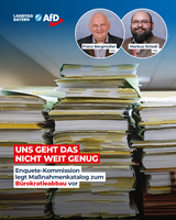 Bild: AfD Deutschland