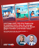 Bild: AfD Deutschland