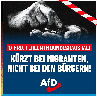 Bild: AfD Deutschland