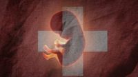 Bild: Screenshot Internetseite: "https://www.patriotpetition.org/2025/09/10/keine-abtreibungen-auf-kosten-der-allgemeinheit/" / Eigenes Werk