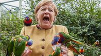 Angela Merkel wurde im Vogelpark Marlow in Mecklenburg-Vorpommern von Papageien gebissen. 23. September 2021 Bild: Screenshot Telegram: "https://t.me/mitHumordurchdieApokalypse/3434" / Eigenes Werk
