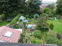 Ein Permakulturgarten am Stadtrand von Sheffield, UK, 2009