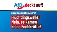 Bild: AfD Deutschland