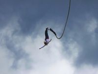 Bild: Tim Reinhart  / pixelio.de