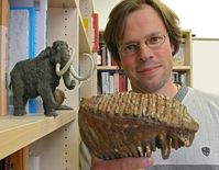 Dr. Thomas Tütken mit dem ca. 30.000 Jahre alten Backenzahn eines Mammuts. Anhand des Zahnschmelzes lässt sich die Körpertemperatur Tieres auf plus/minus zwei Grad genau bestimmen. Bild: Frank Luerweg, Universität Bonn