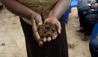 Auf einem Biobauernhof nahe Dar es Salaam, den die ECOSOLA-Wissenschaftler während ihres Kick-off-Workshops in Tansania besuchten, dient Fledermaus-Guano als wertvoller Dünger für die Pilzzucht. Quelle: Kilian Köbrich / Universität Oldenburg (idw)