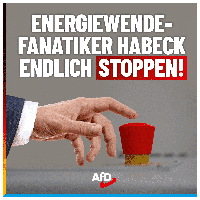 Bild: AfD Deutschland