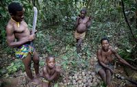 "Die Baka nutzen den Regenwald in Kamerun für Lebensmittel, Medikamente und religöse Rituale. Sie werden nun unter Zwang ausgeschlossen."  Bild: © Selcen Kucukustel/Atlas