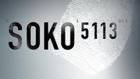 SOKO 5113 ist eine deutsche Kriminalserie. Sie ist die erste von mehreren Kriminalserien, die ein SOKO im Titel tragen. SOKO 5113 spielt in München und startete am 2. Januar 1978 im ZDF.
