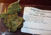 Medizinisches Cannabis aus den USA