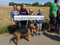 Fehmarn: Jede Woche Protestaktionen gegen geplantes Industrieareal. Bild: "obs/Bewahrt Fehmarn!/Mirko Kaminski"