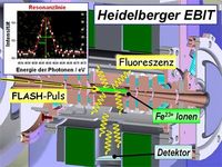 Röntgen-Laserpulse (gelb) regen die in der Elektronenstrahl-Ionenfalle (EBIT) gespeicherten Ionen (grün) zum Leuchten an. Detektoren messen die Fluoreszenzstrahlung (gelbe Wellenpfeile) in Abhängigkeit von der Wellenlänge des Lasers. Die Intensität der Fluoreszenzstrahlung ergibt in Abhängigkeit von der Wellenlänge eine Resonanzkurve (oben links). Auf diese Weise können die Physiker Spektrallinien mit höchster Genauigkeit vermessen. Bild: Max-Planck-Institut für Kernphysik