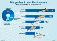 Bild: obs/FIZ Fisch-Informationszentrum e.V.