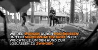 Brutale Trainingsmethoden: Ausschnitt aus dem neuen PETA-Video. Bild: © PETA