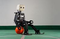 Der neue Fußballroboter "NimbRo-OP" ist rund 95 Zentimeter groß und 6,6 Kilogramm leicht. Insgesamt sorgen 20 Antriebselemente und eine hohe Rechenleistung dafür, dass er sehr beweglich und reaktionsschnell ist. Mit seiner speziellen Weitwinkelkamera behält er den Überblick über das Fußballfeld.
Quelle: (c) Foto: Felix Oprean/Uni Bonn (idw)