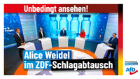 Bild: AfD Deutschland