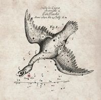 Beobachtung der Nova von 1670 durch den berühmten Astronomen Hevelius. Die Zeichnung mit der Positio
Quelle: Royal Society (idw)