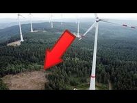 Horizontale Windkraftanlagen (WKA): Alleine für deren Bau werden ganze Wälder gerodet. Abseits davon töten diese Vögel und lärmen mit Infraschall (Symbolbild)