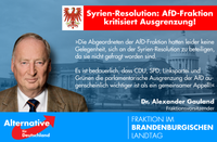 Syrien Resolution der AfD