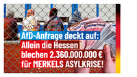 Bild: AfD Deutschland