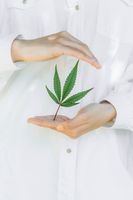 Cannabis (Symbolbild)