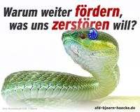 Bild: Screenshot Internetseite: "https://afd-bjoern-hoecke.de" / Eigenes Werk