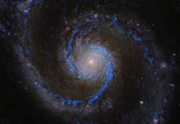 Molekülwolken in der Whirlpool-Galaxie. In blau Wasserstoffmoleküle in M51 (Rohmaterial für die Ster
Quelle: Bild: PAWS team/IRAM/NASA HST/T. A. Rector (University of Alaska Anchorage) (idw)