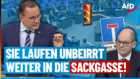 Bild: AfD Deutschland