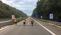 Schwan spaziert auf Autobahn.