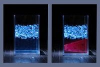 Hydrogel-Perlen: interessante Versuche möglich. Bild: F. Frankel, J. Dijksman