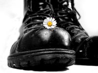 Springerstiefel und Blume