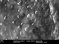 Die Nanokapseln in der galvanischen Schicht enthalten eine Flüssigkeit. Wird die Schicht zerkratzt, platzen die Kapseln auf, die Flüssigkeit tritt aus und repariert den Kratzer. Bild: Fraunhofer IPA