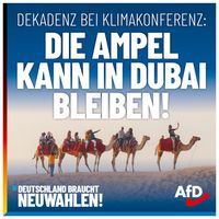 Bild: AfD Deutschland