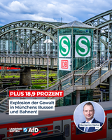 Bild: AfD Deutschland