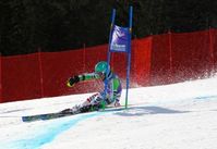 Felix Neureuther, Riesenslalom Adelboden, 11.01.2014 Bild: DSV